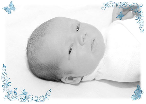 Снежана Никитина