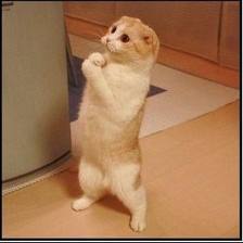 Никита Ковтун