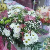 Наталья Климова