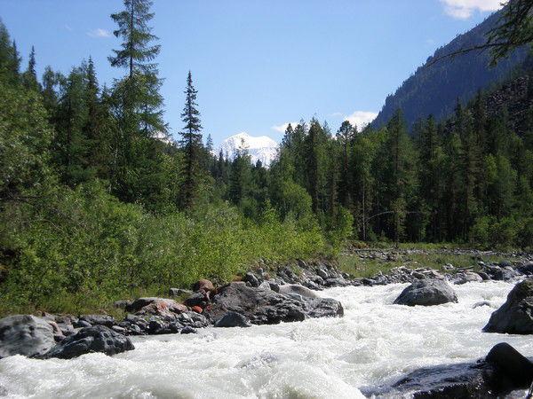 Владислав Швецов