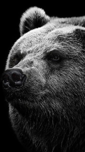 Александр Яковлев