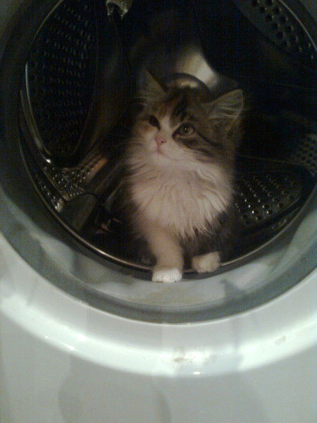 Марина Корж