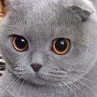 Ксения Петракова