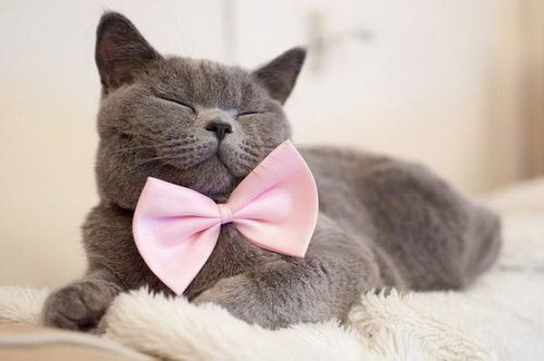 Павел Первушин