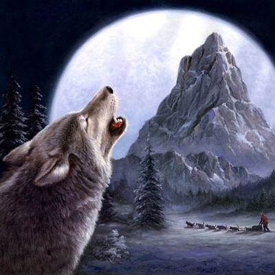 Виктор Капытко