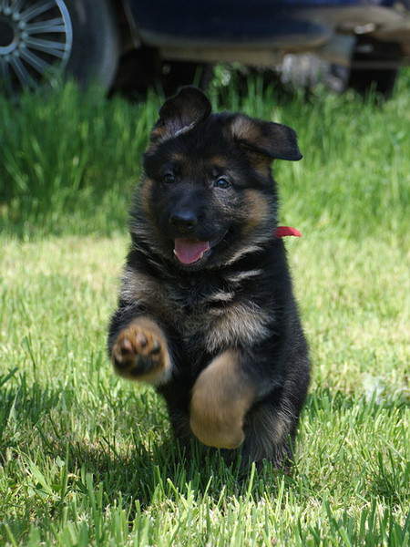 Карина*** Юрко