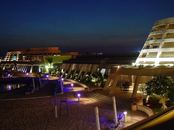 Светлана Толкунова