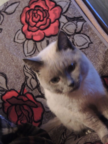 Рябов Владимир