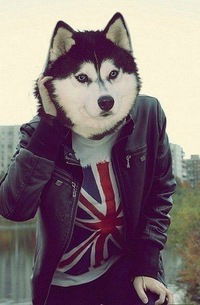 Саша Кучеренко