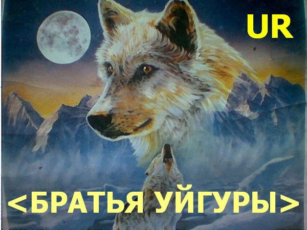 Расул Валиев