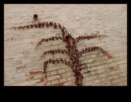 Анатолий Симонов