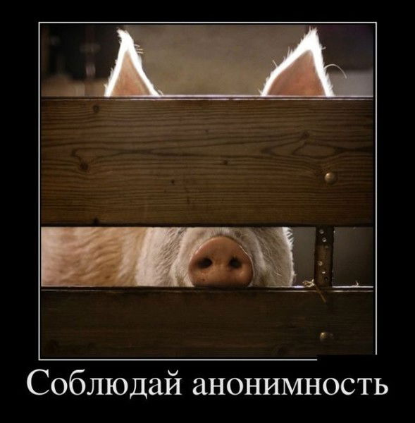 Иван Иголкин