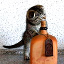 Виталий Богатко