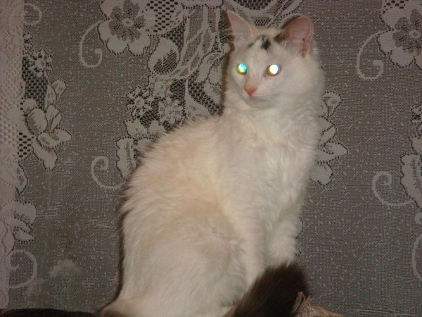 Ирина Старовойтова