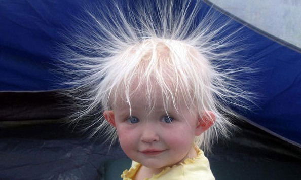 Павел Торчевский