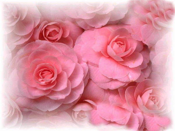 Алена Барашкова