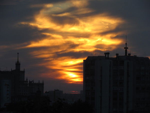 Елена Наумова