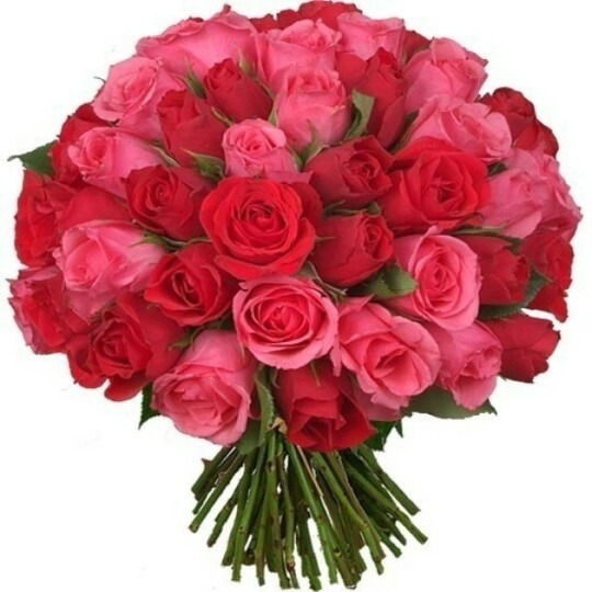 Гульзада Токтоболотова