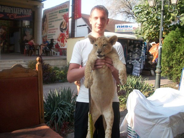 Павел Самойлов