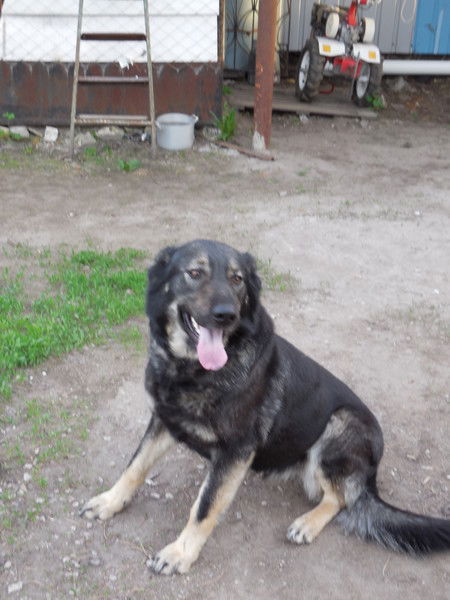 Олег Небольсин