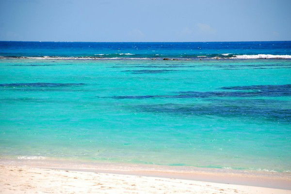 Александра Дмитриева