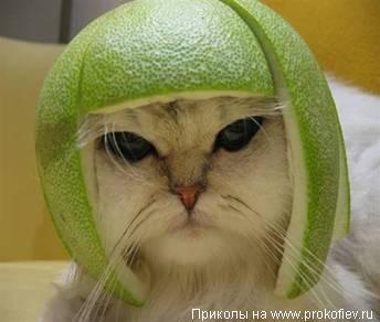 Милушкин Сергей