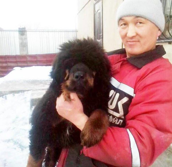 Алик Гангсен