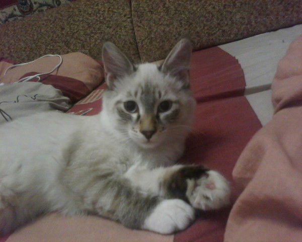 Татьяна Шелкунова