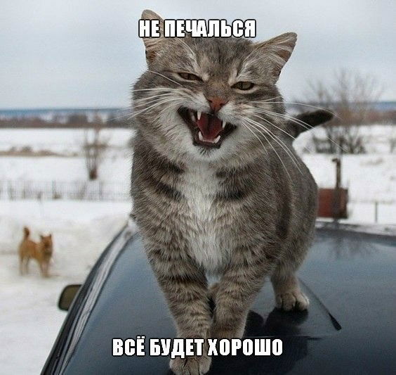 Андрей Китаев