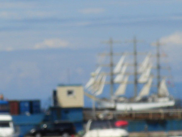 Светлана Ищенко