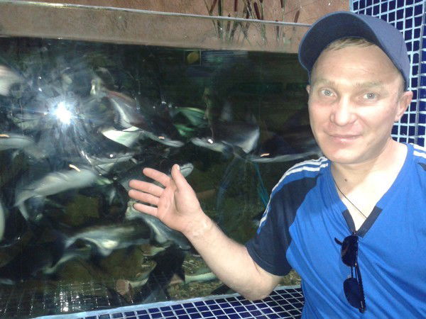 Николай Шестаков