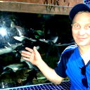 Николай Шестаков