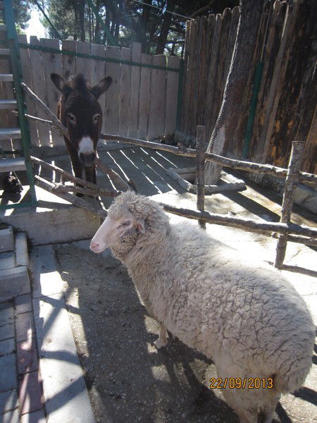 Марина Яковлева