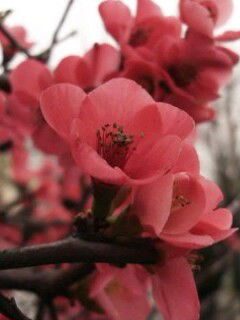 Валентина Владимировна