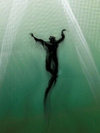 Неизвестно Неизвестно