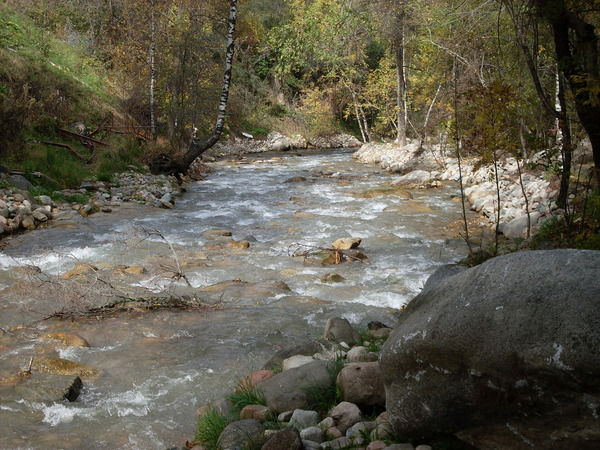 Татьяна Крестелева