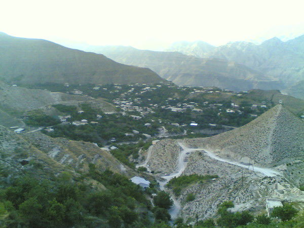 Муслим Магомедов