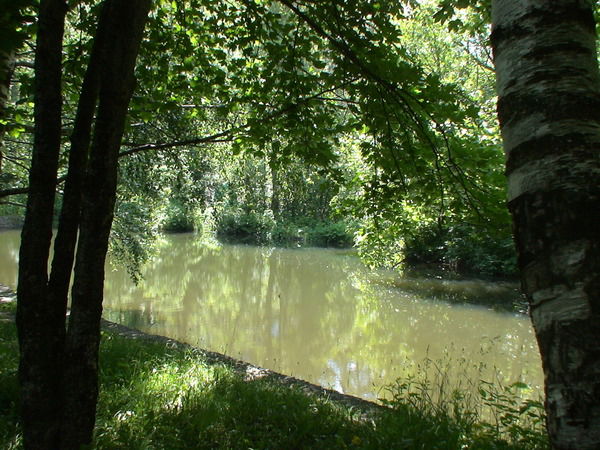 Надежда Сулоева