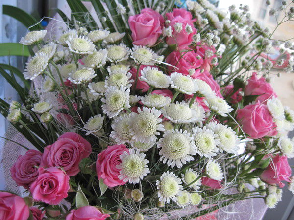 Олеся Тимиргалеева