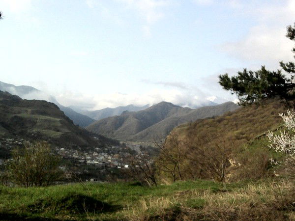 Дмитрий Абузяров