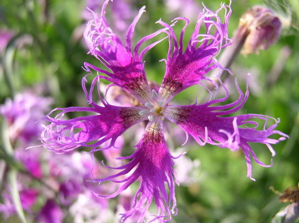 Юрий Бастриков