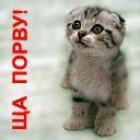 Человек Человекович