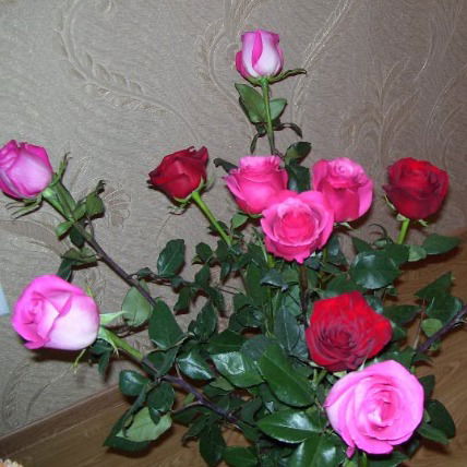 Татьяна Цыганкова