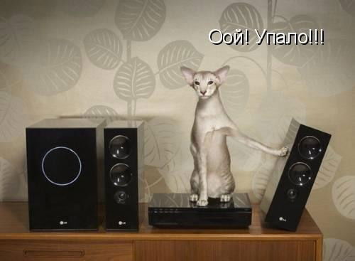 Марина Стрельченко