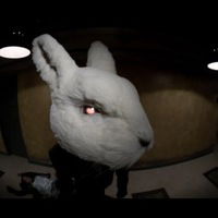 Александр Шибаков