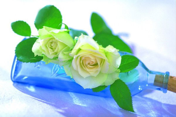 Айгерим Асылбек