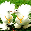 Нурия Ибраева