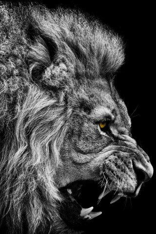 Дина Букатина