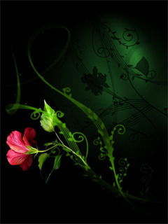 Людмила Хархардина