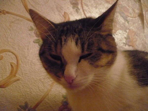 Кристина Байдуганова